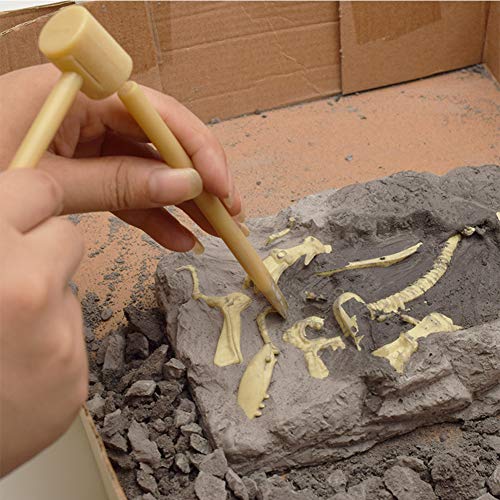 Dinosaur Fossil Dig Kit for Kids