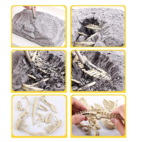 Dinosaur Fossil Dig Kit for Kids