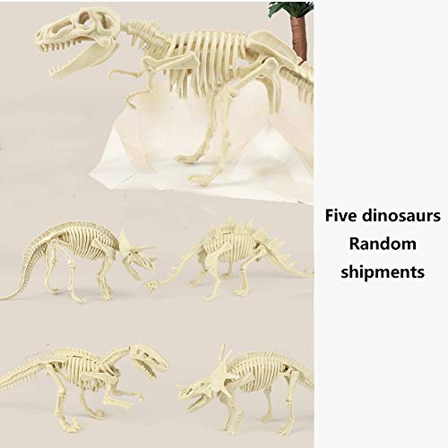 Dinosaur Fossil Dig Kit for Kids