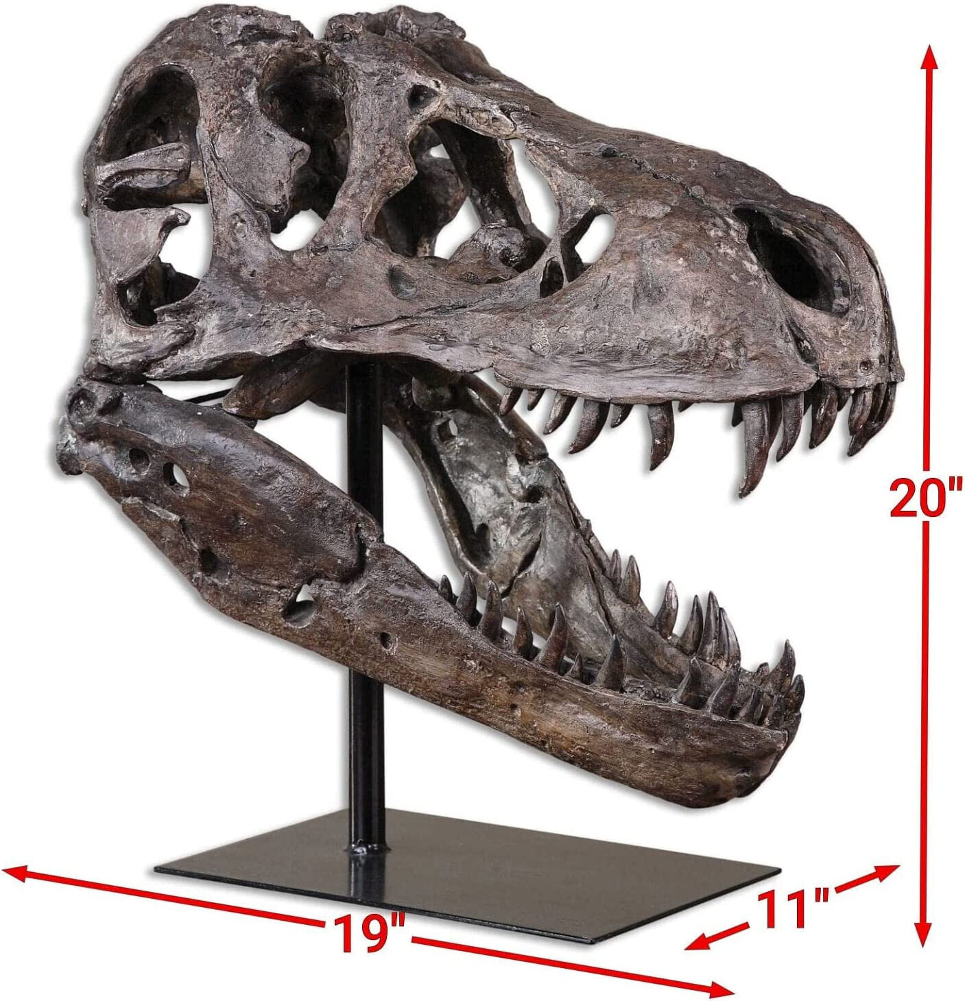 Prehistoric T-Rex Skull Sculpture