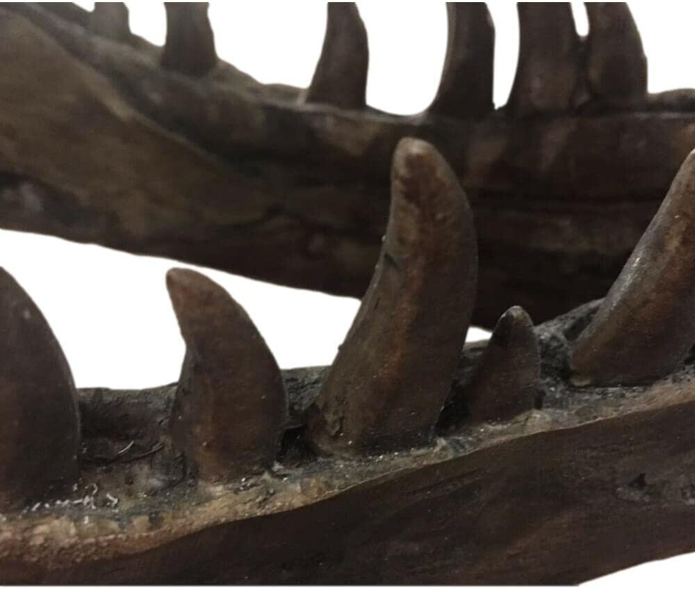 Prehistoric T-Rex Skull Sculpture