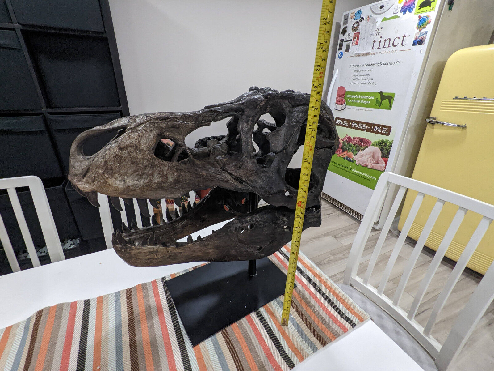 Prehistoric T-Rex Skull Sculpture