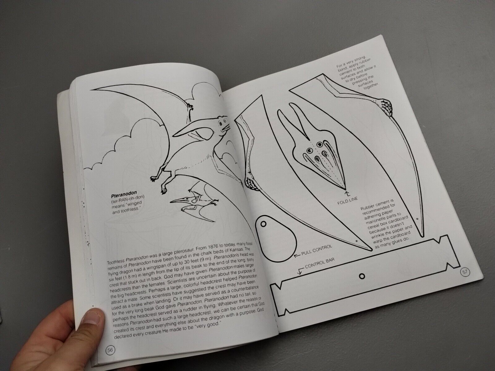 Earl Snellenberger's Dino Activity Book Paperback