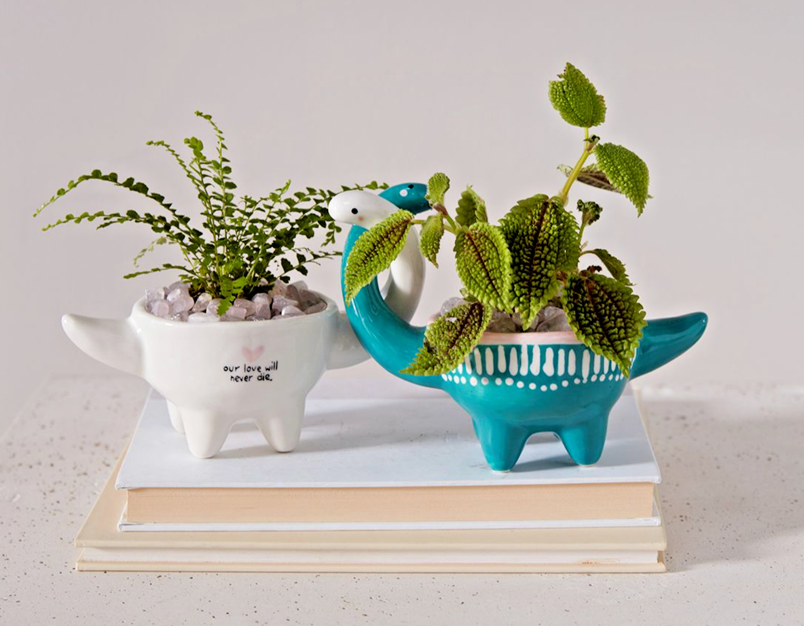 3" DINO LOVE POTS - Eternal Love