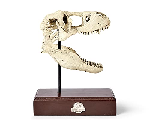 Realistic TRex Skull Replica - Home & Office Decor