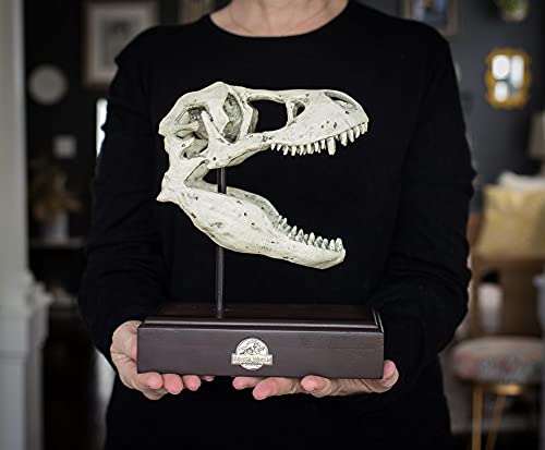 Realistic TRex Skull Replica - Home & Office Decor