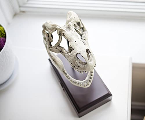 Realistic TRex Skull Replica - Home & Office Decor
