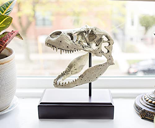 Realistic TRex Skull Replica - Home & Office Decor