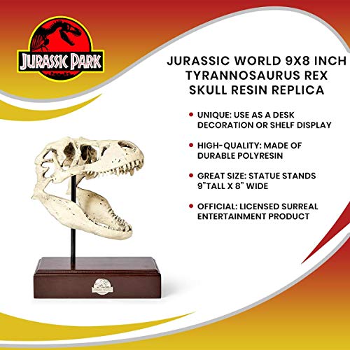 Realistic TRex Skull Replica - Home & Office Decor