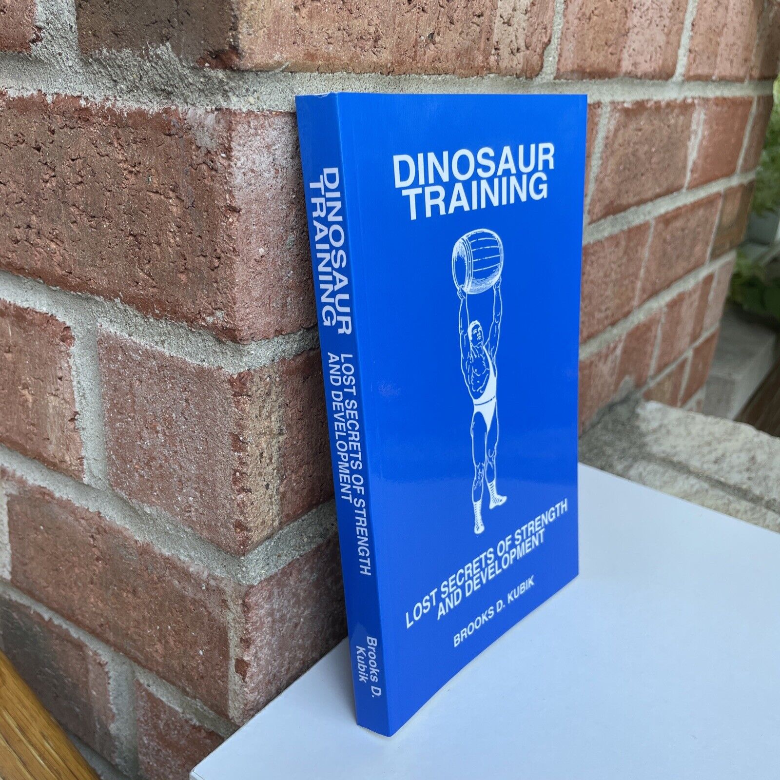 Authentic Signed Dino Training - Brooks Kubik