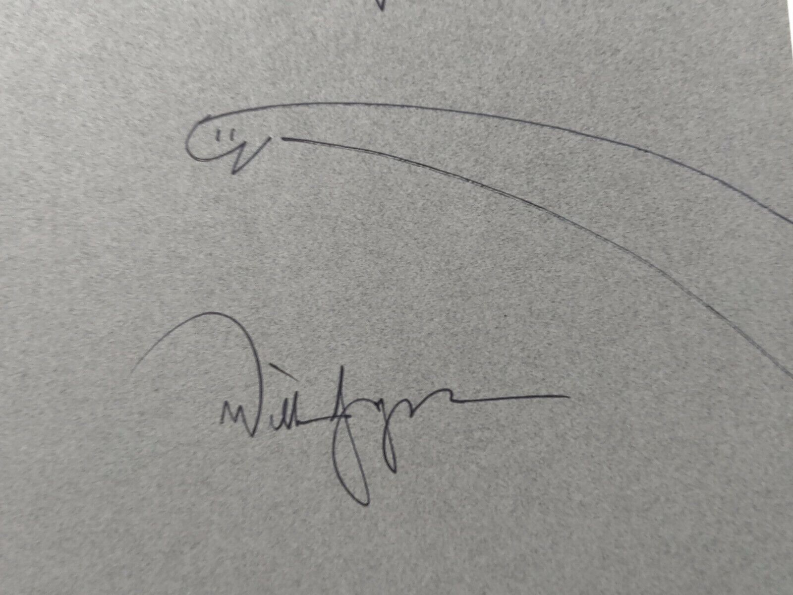 Signed Dinosaur Bob Hardcover Book by William Joyce