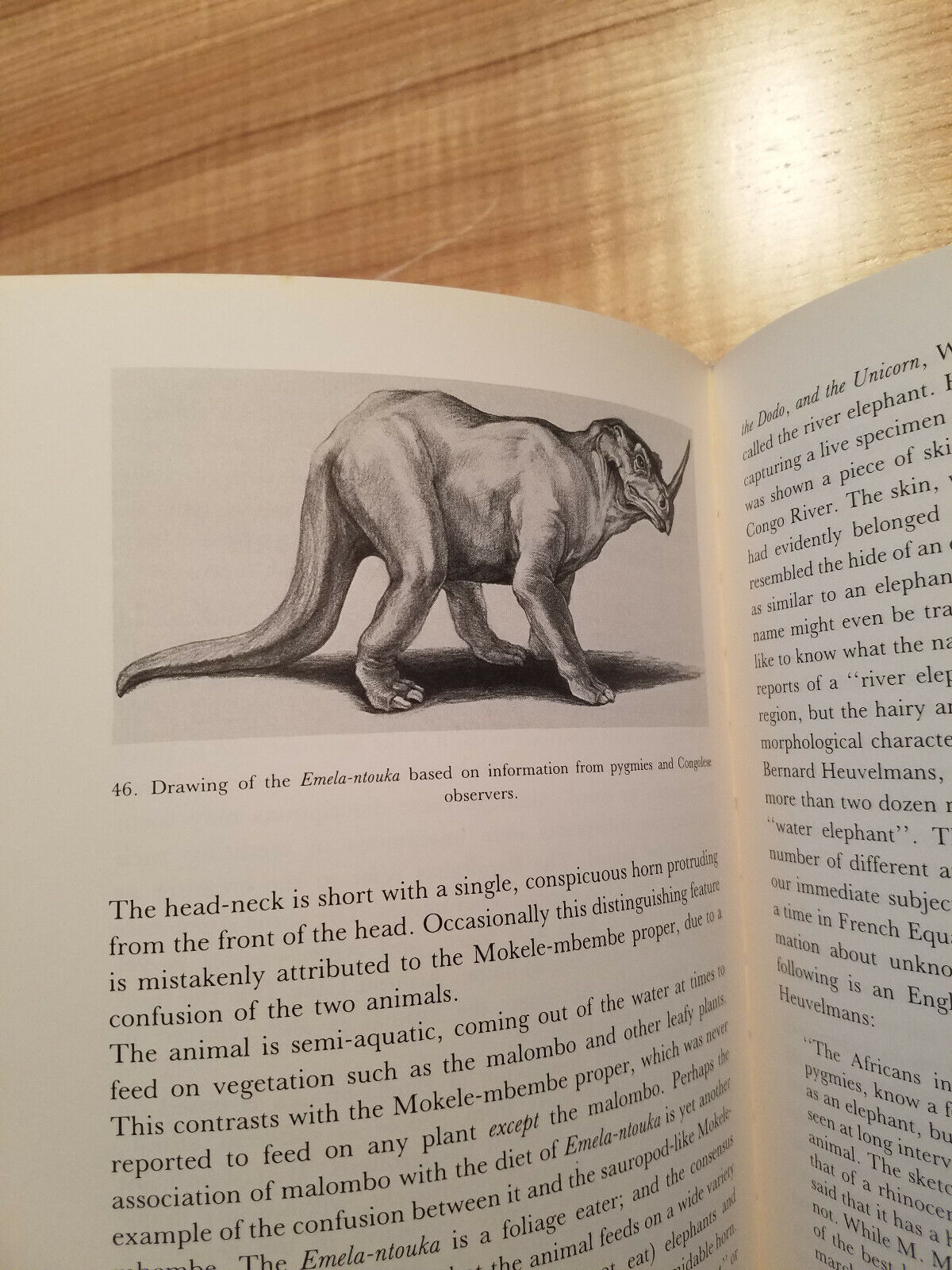 Signed 1987 book: In Search of Mokele Mbembe