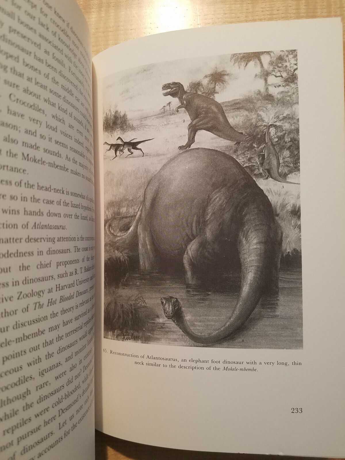 Signed 1987 book: In Search of Mokele Mbembe