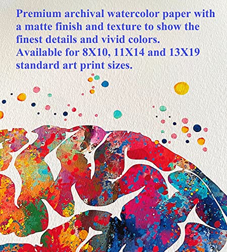T-Rex Watercolor Art Prints Set Dignovel Studios
