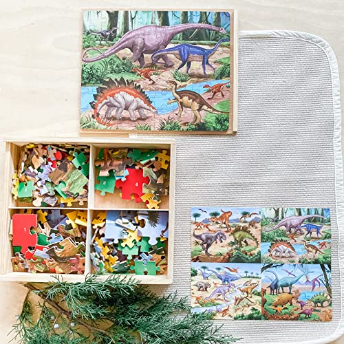 Dinosaur Wooden Puzzles for Ages 4-8