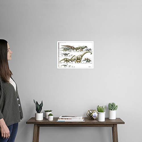 Dinosaur Timeline Fine Art Print