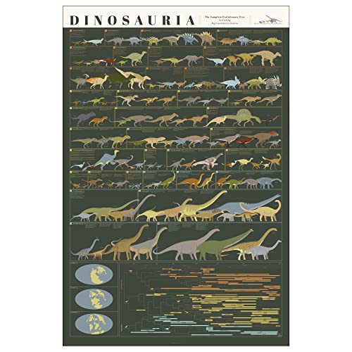 USA-made Educational Dinosaur Room Decor Poster