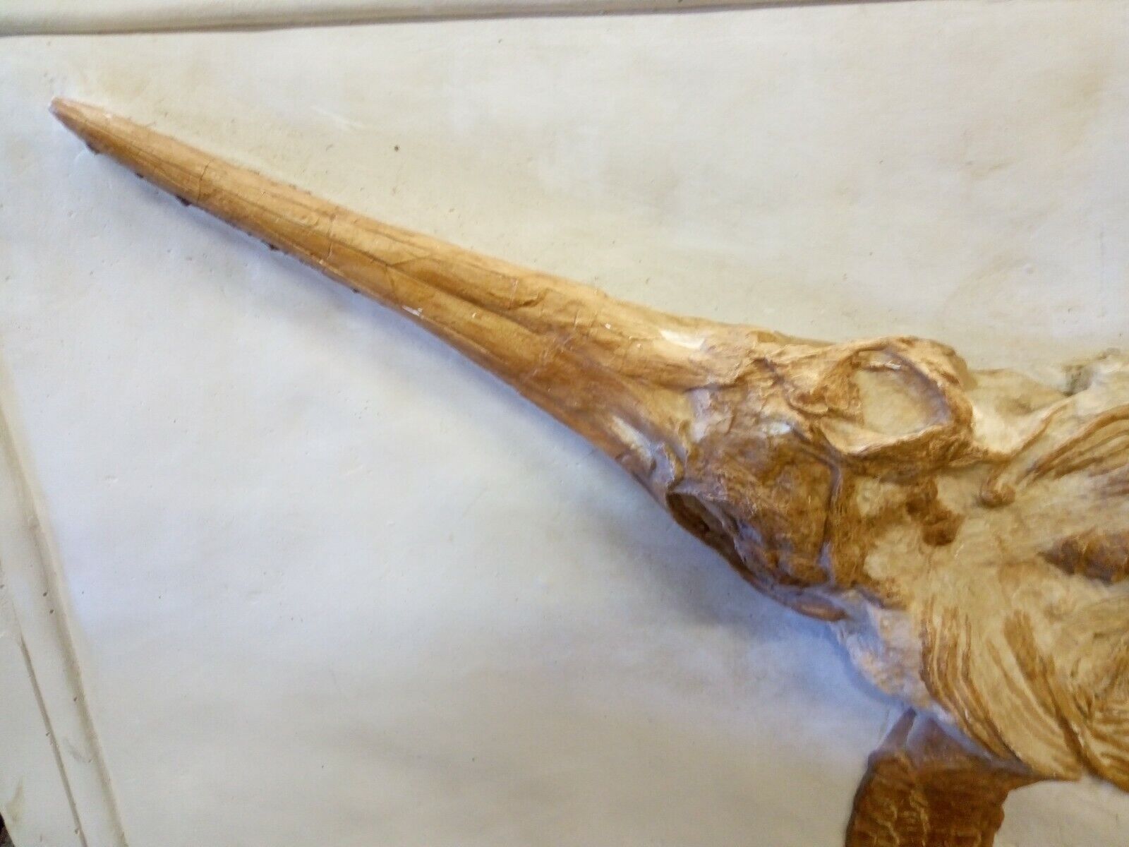 Ichthyosaur Dinosaur Replica 55" Cast Mold Model Museum Display 