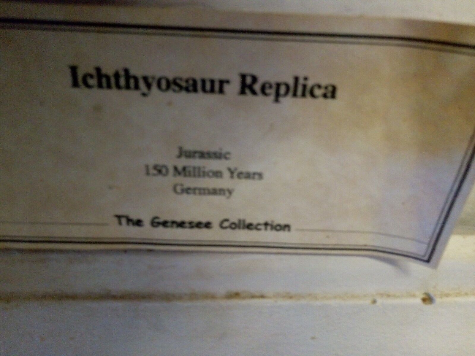 Ichthyosaur Dinosaur Replica 55" Cast Mold Model Museum Display 