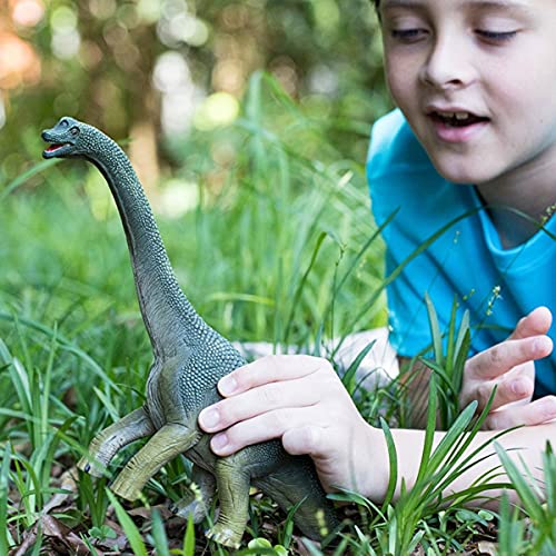 Brachiosaurus Dinosaur Toy for Kids
