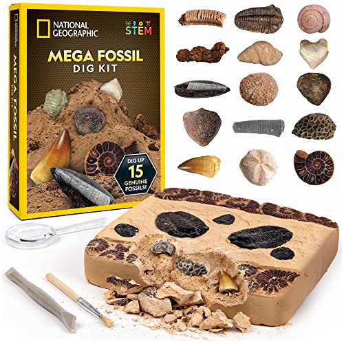 NATIONAL GEOGRAPHIC Mega Fossil Dig Kit - Excavate 15 Prehistoric Fossils Including Dinosaur Bones & Shark Teeth, Educational Toys, Great Science Kit Gift for Girls and Boys (Amazon Exclusive)