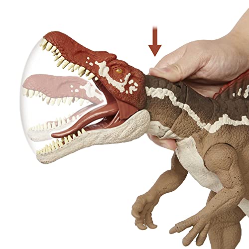 Jurassic World Extreme Chompin' Spinosaurus Dinosaur Action Figure, Huge Bite, Authentic Decoration, Movable Joints, Ages 4 Years Old & Up [Amazon Exclusive]