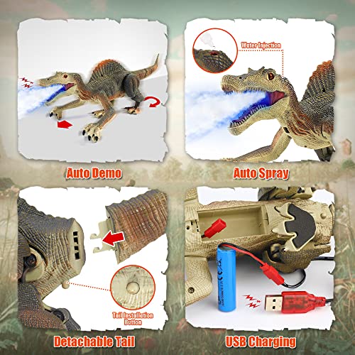Remote Control Walking Dinosaur Toy with Lights
