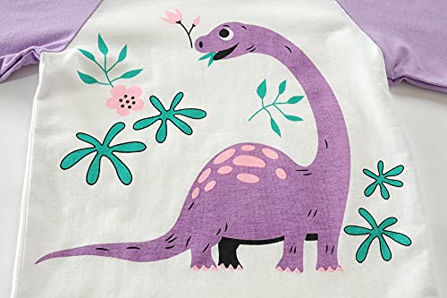 Girls Dinosaur Pajama Set - Long Sleeve