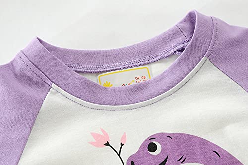 Girls Dinosaur Pajama Set - Long Sleeve
