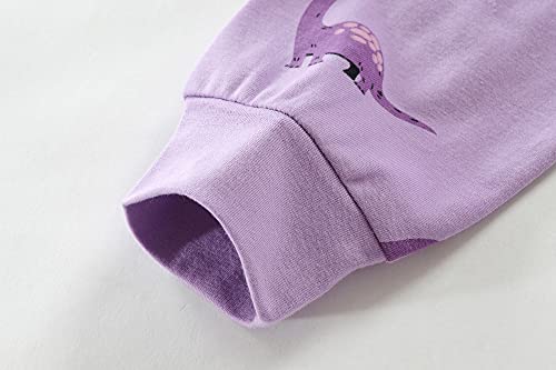 Girls Dinosaur Pajama Set - Long Sleeve