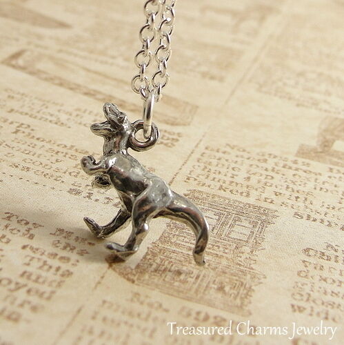 Silver T-Rex Charm Necklace - Dino Pendant Jewelry