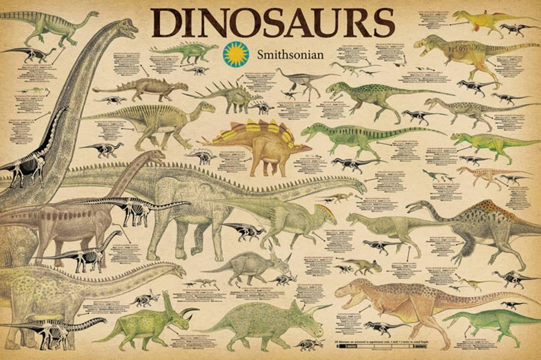 Smithsonian - Dinosaurs Poster 36" x 24"