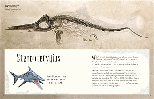Dinosaurs and Other Prehistoric Life (DK Children's Anthologies)