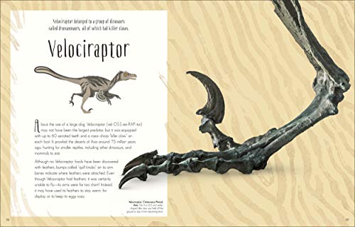 Dinosaurs and Other Prehistoric Life (DK Children's Anthologies)