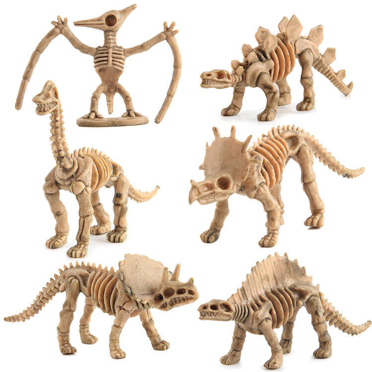 12 Unique Dinosaur Fossil Skeleton Figures