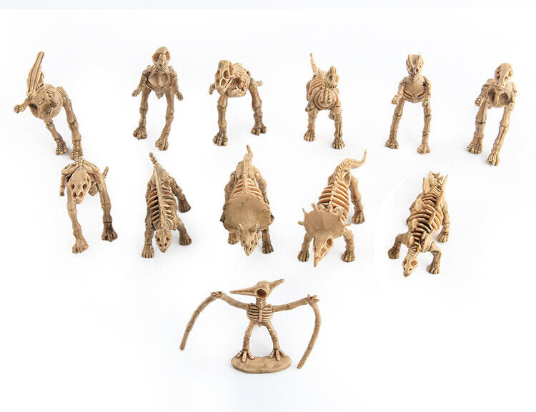 12 Unique Dinosaur Fossil Skeleton Figures