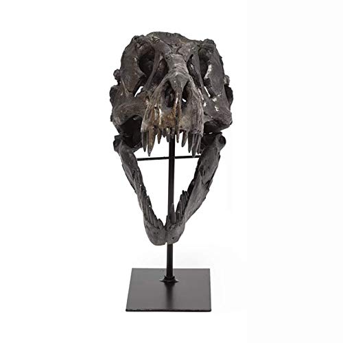 T Rex Skull, Dinosaur Bones Resin Replica Head Sculptures with Bracket Tyrannosaurus Teaching Skeleton Statue Model for Home Office Decor Bookshelf Shelf Display, Holiday Birthday Gift for Adults