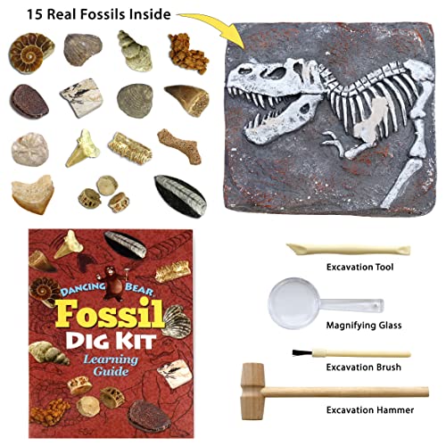 Prehistoric Fossil Dig Kit for Kids