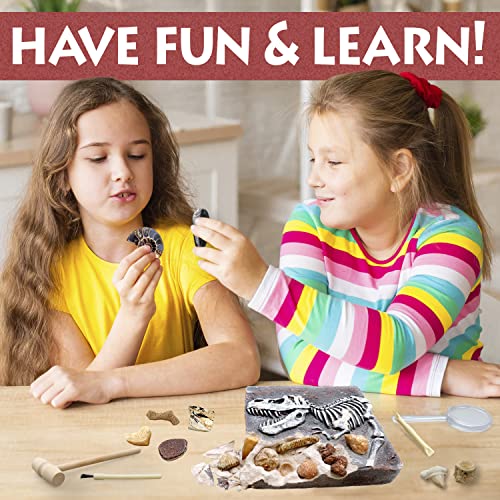 Prehistoric Fossil Dig Kit for Kids