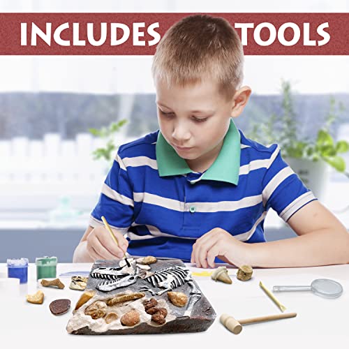Prehistoric Fossil Dig Kit for Kids