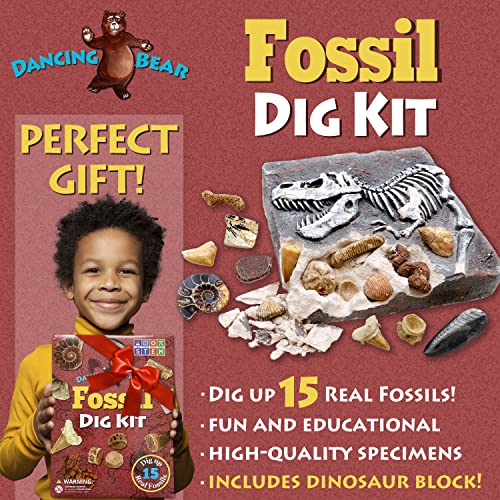 Prehistoric Fossil Dig Kit for Kids