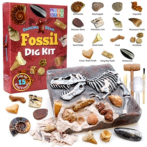Prehistoric Fossil Dig Kit for Kids