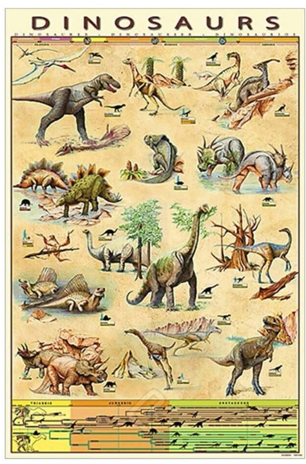 EuroGraphics Dinosaurs Poster 36 x 24 inch educational poster