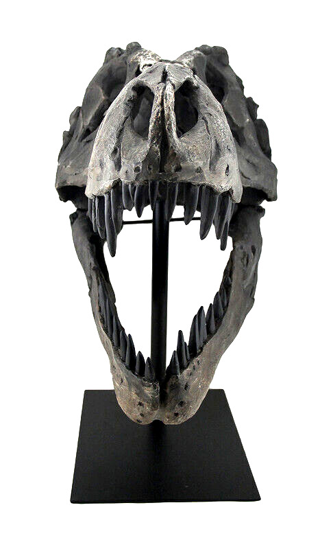 Large T-Rex Skull Sculpture for Dinosaur Lovers