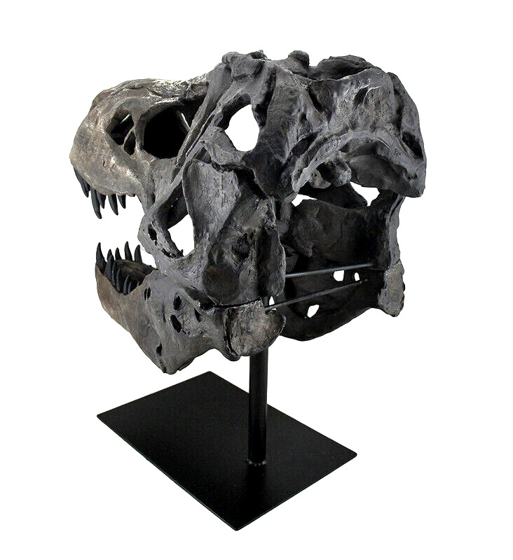 Large T-Rex Skull Sculpture for Dinosaur Lovers
