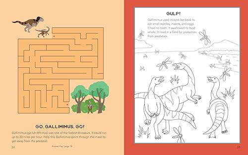 70 Dinosaur Activities Book for Kids