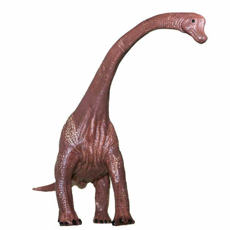 Realistic 10" Brachiosaurus Dinosaur Figurine Toy