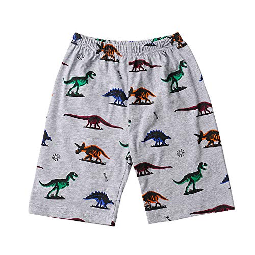 Dinosaur Pajamas for Boys in Size 4T