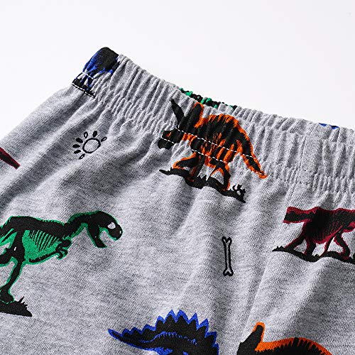 Dinosaur Pajamas for Boys in Size 4T