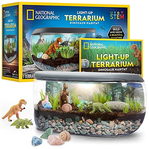 Light Up Dinosaur Terrarium Kit for Kids